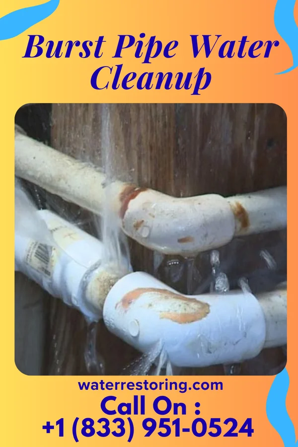 Burst Pipe Water Cleanup in Folsom, NJ