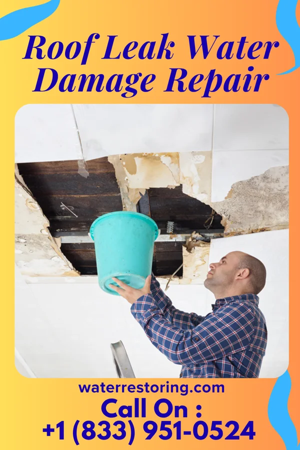 Roof Leak Water Damage Repair in Folsom, NJ