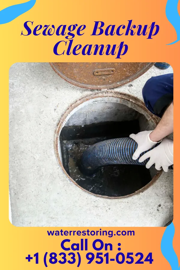 Sewage Backup Cleanup in Folsom, NJ