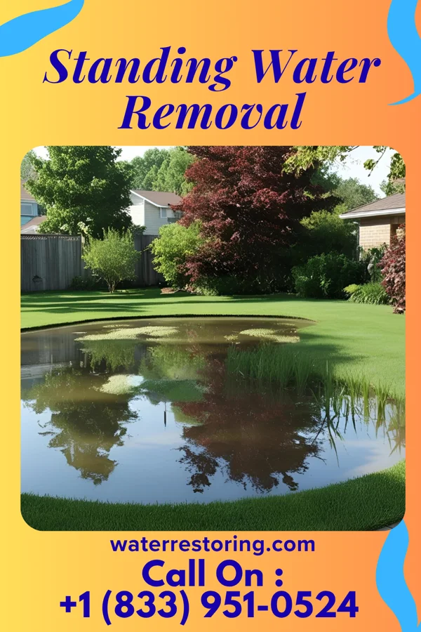 Standing Water Removal in Folsom, NJ